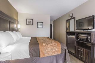 Comfort Inn Trenton - Trenton - 3