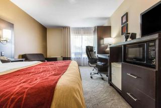 Comfort Inn - Owen Sound - 8
