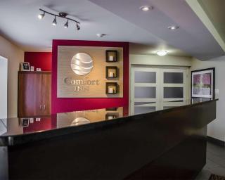 Comfort Inn South Shore - Boucherville - 9