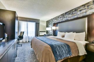 Comfort Hotel Airport North - Toronto - 1