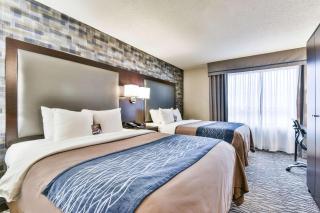 Comfort Hotel Airport North - Toronto - 3