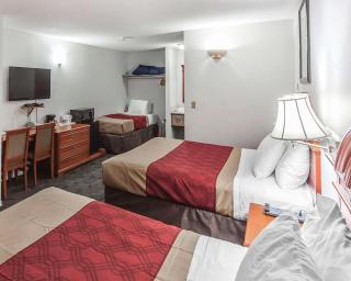 Econo Lodge Inn & Suites Drumheller - Drumheller - 6