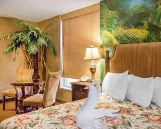 Quality Inn & Suites - Winnipeg - 6
