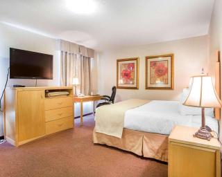 Quality Inn & Suites - Lethbridge - 4