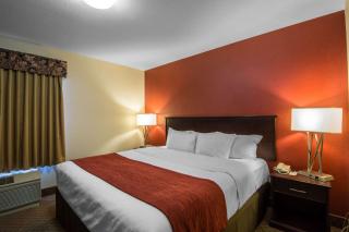 Comfort Inn & Suites Airport South - Calgary - 2