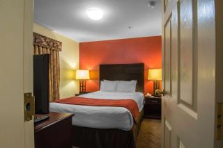 Comfort Inn & Suites Airport South - Calgary - 1