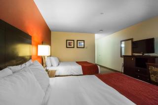 Comfort Inn & Suites Airport South - Calgary - 3