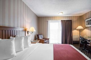 Quality Hotel - Drumheller - 4