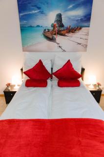 Luxury flat between Cologne and Bonn and Phantasialand Bruhl - Wesseling - 7