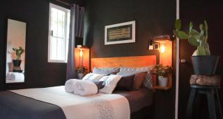 Cactus House - Playa del Carmen - 5