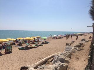 Camping La Pineta - Porto Recanati - 5