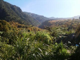 Finca La Hondura - La Orotava - 6