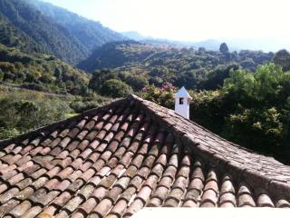 Finca La Hondura - La Orotava - 8