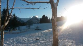 Gasthof Seeweg - Oberstdorf - 6