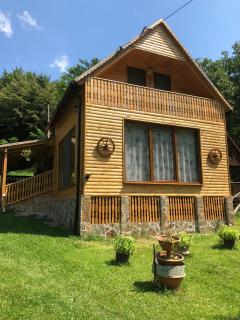 Casa de Vacanta Geoagiu de Sus - Geoagiu de Sus - 8