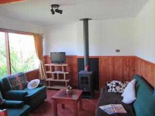 Cabañas Alto Caburgua 2 dorm - 1