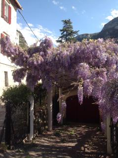La cigale - Gourdon - 7