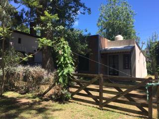 Santa Teresita en el monte - 6