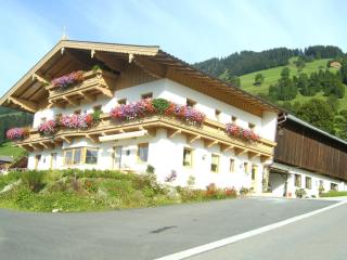 Bauernhof Hundbichl - Brixen im Thale - 2