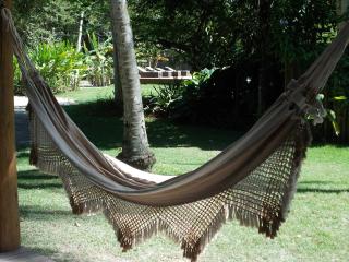 Onça 1024 - Trancoso - 3