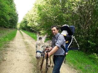 Gite Vezelay - 1