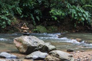 Rain Forest Guest House and Jungle Trekking - Bukit Lawang - 0
