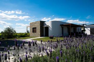 Pizzorno Lodge & Wine - Progreso - 0