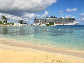 Castle by the Shore - Ocho Rios - 4