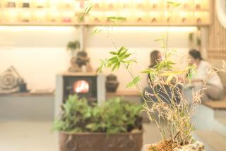 Zen Tea House Elephant Trunk Hill Park船舍茶椐象山店 - 6