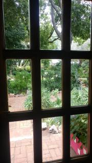 Irene B&B - Irene - 2