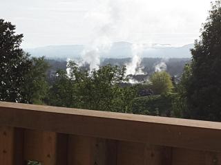 Geyser Lookout BnB - Rotorua - 9