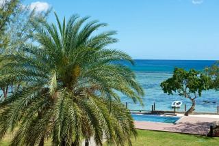 Belle Crique B2/B3 - 8