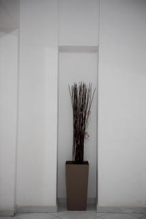 Violet #colony_White_Tower - Tessalónica - 6