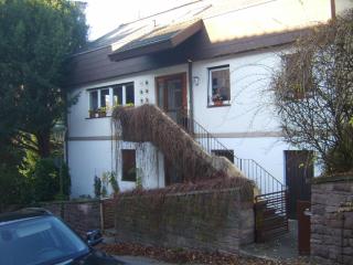Garden Apartment - Baden-Baden - 9