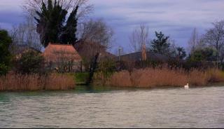 Casamarin7 - Caorle - 5