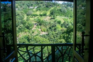 NatureWoodland - 0