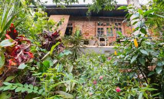 Amma's Homestay - Kandy - 8
