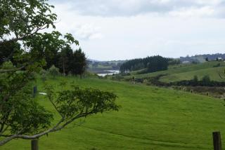 Creek Retreat - Warkworth - 5