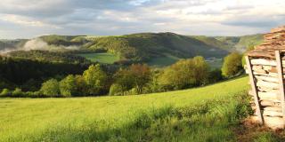 Wiedhöhen Ferienwohnung - Roßbach - 6