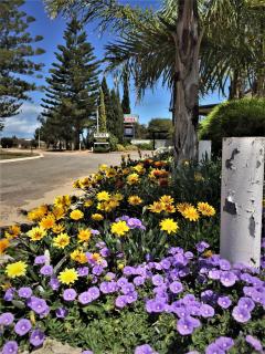 Ceduna Motor Inn - Ceduna - 4