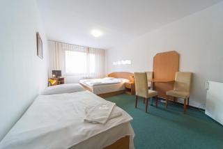 Hotel Arnost Garni - Pardubice - 9