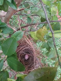 Wick's Apartment - 7