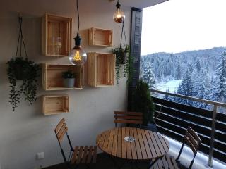 DOR Apartment - Poiana Brasov - 1