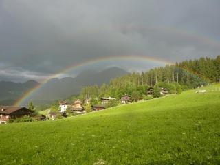 Ferienhäuser Reither Almen - 1