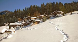 Ferienhäuser Reither Almen - Reith im Alpbachtal - 6