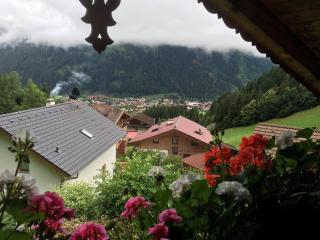 Ferienwohnung Bacher Oberkumbichl 900 - Mayrhofen - 9