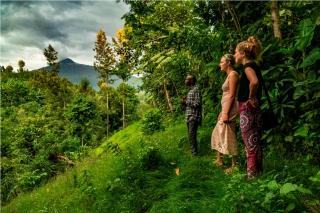 Banana Farm Eco Hostel - Arusha - 0