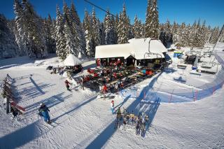 Rogla - Chalet Mojca Pokrajculja - Zreče - 4
