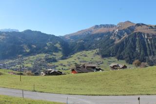 Chalet Weissenberg - Lenk im Simmental - 6