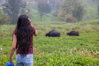 The Realm - Coonoor - 2